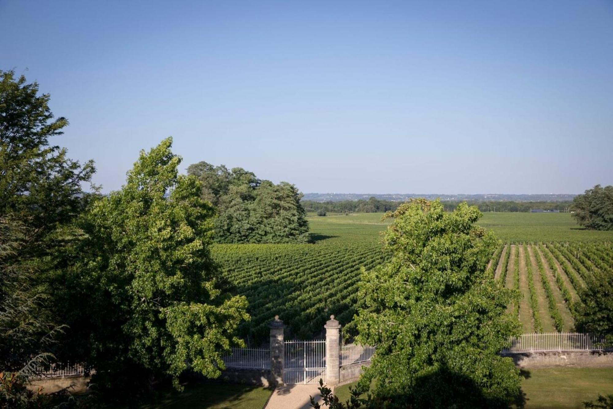 Chateau Malescasse Lamarque المظهر الخارجي الصورة