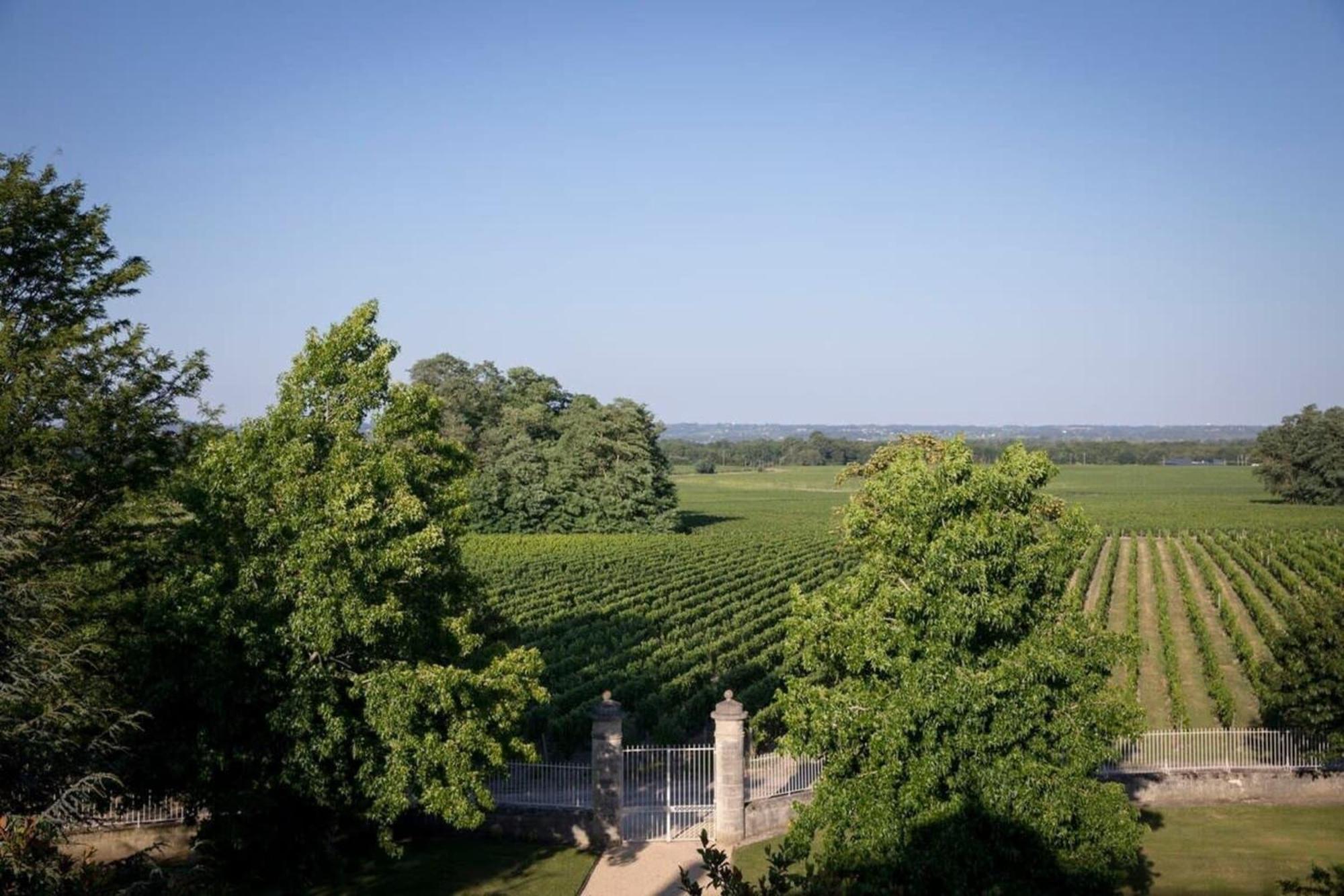 Chateau Malescasse Lamarque المظهر الخارجي الصورة